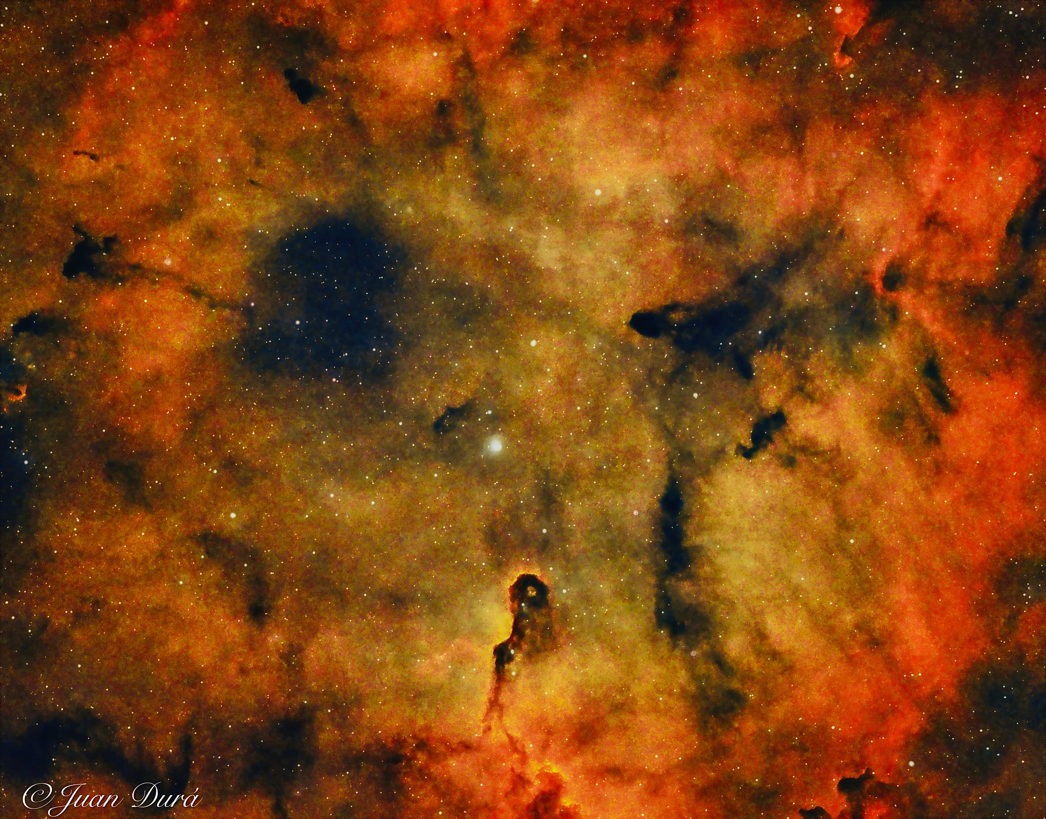 Nebulosa de la Trompa de l´Elefant
